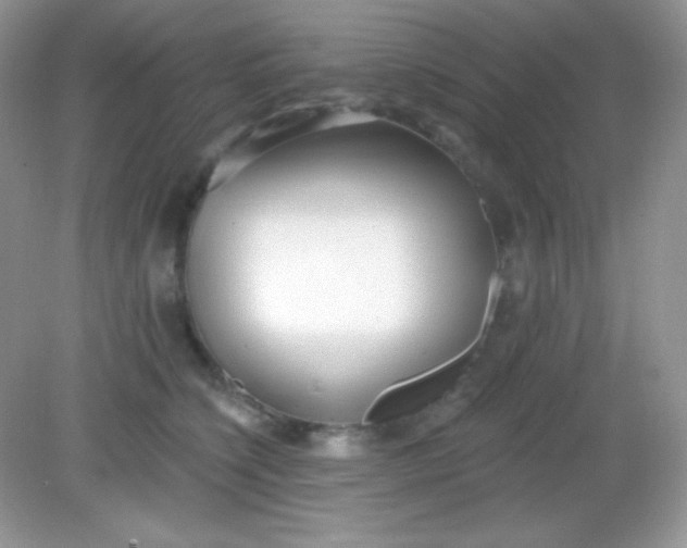 X0000082160564200702021704