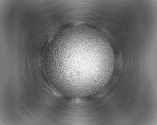 X0000082160565200702021704