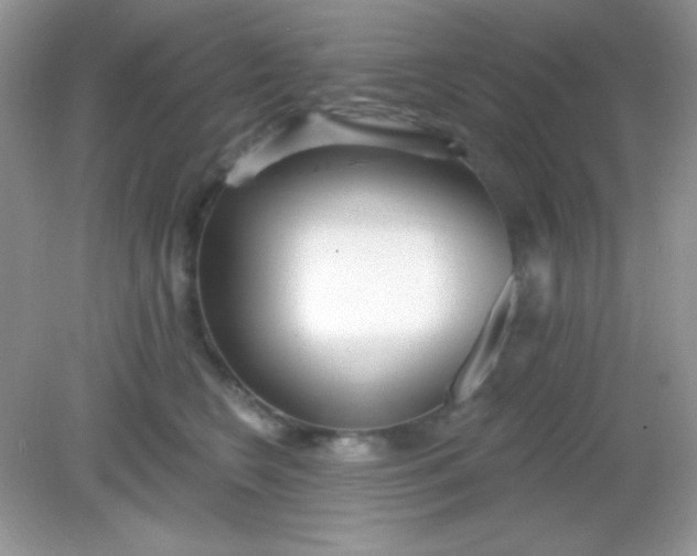 X0000082160566200702021704