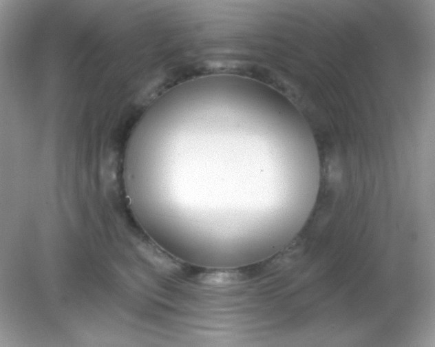 X0000082160567200702021704