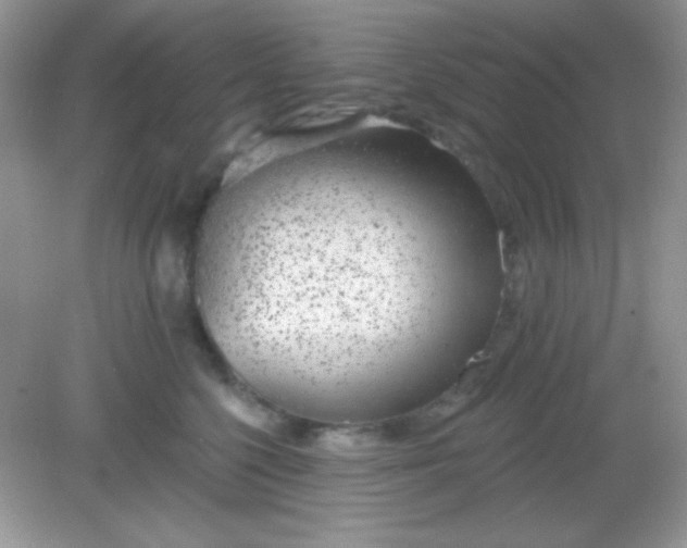 X0000082160568200702021704