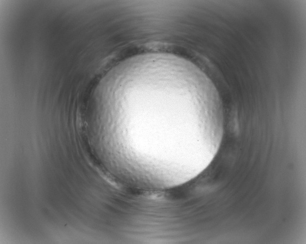 X0000082160569200702021704