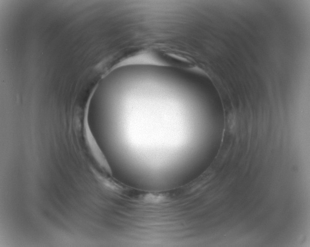 X0000082160570200702021704