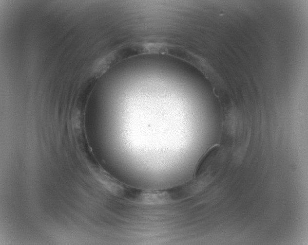 X0000082160571200702021704