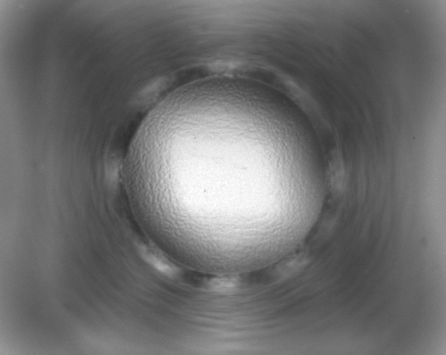 X0000082160574200702021704