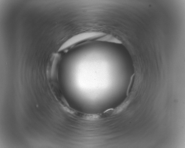 X0000082160576200702021704