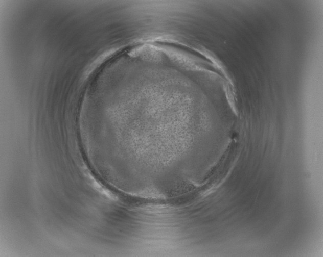 X0000082160577200702021703