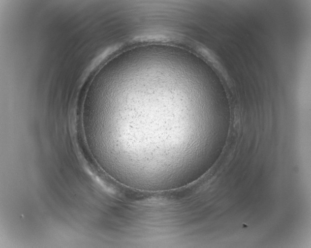 X0000082160578200702021703