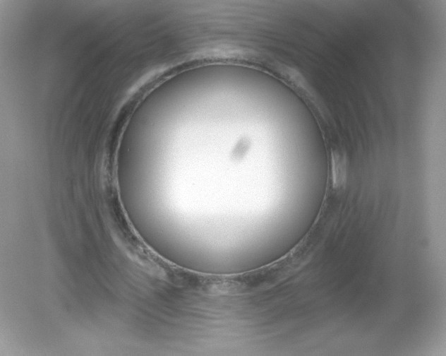 X0000082160579200702021703