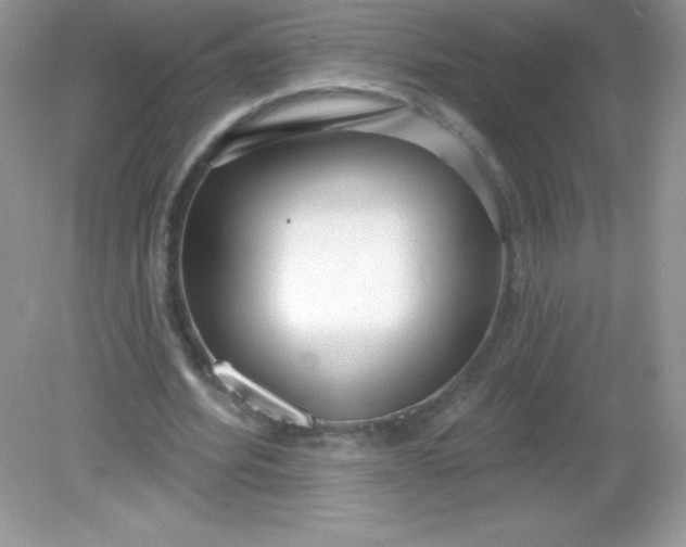 X0000082160580200702021703