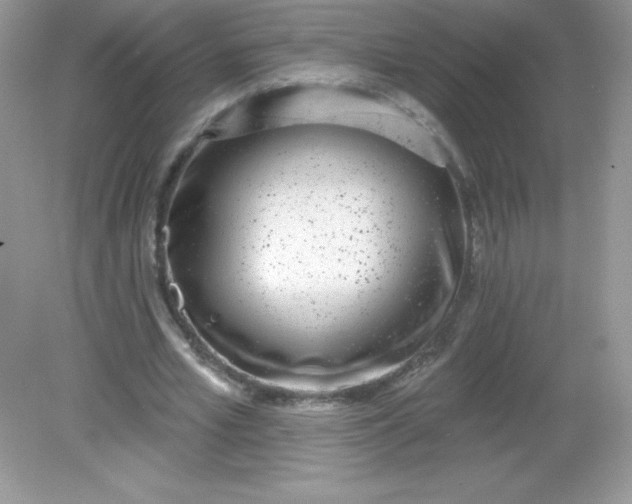 X0000082160581200702021703