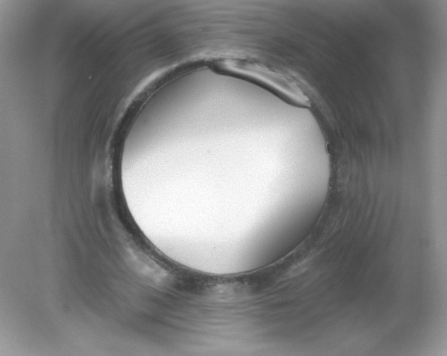 X0000082160584200702021703