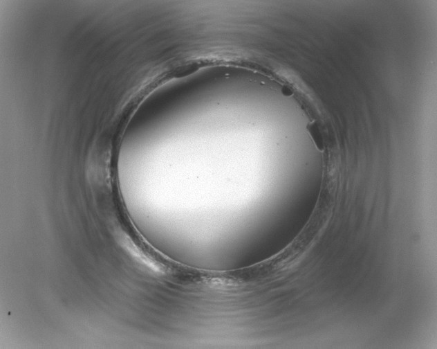 X0000082160585200702021703