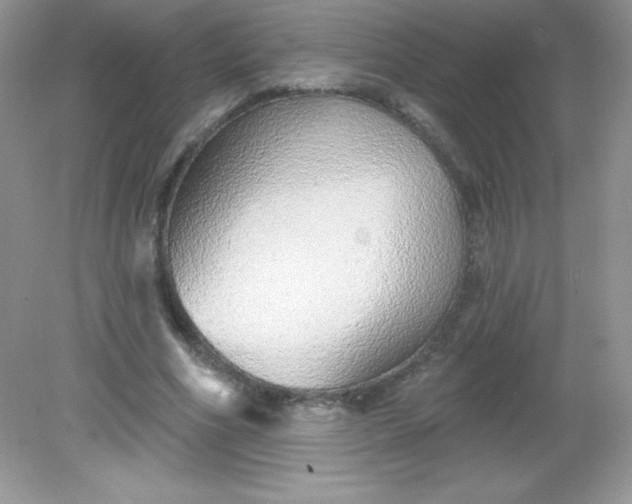 X0000082160586200702021703