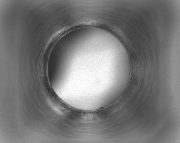 X0000082160587200702021703