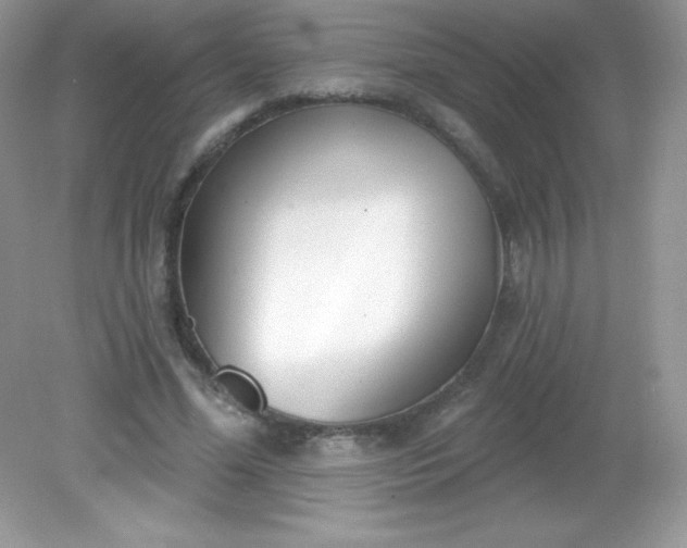 X0000082160588200702021703