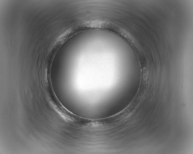 X0000082160589200702021703