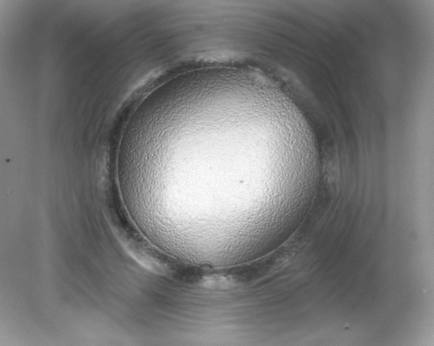 X0000082160591200702021703