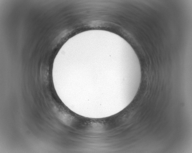 X0000082160592200702021703