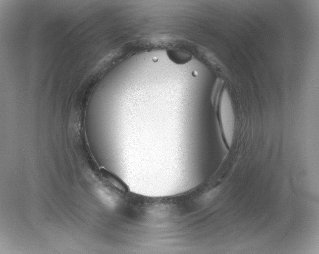 X0000082160593200702021703