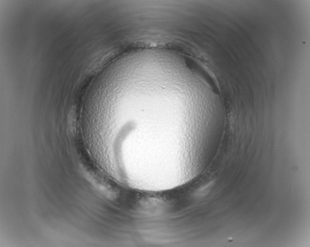 X0000082160594200702021703