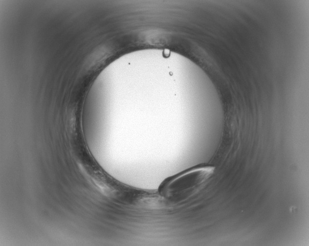 X0000082160595200702021703