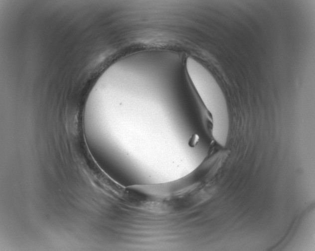 X0000082160596200702021703