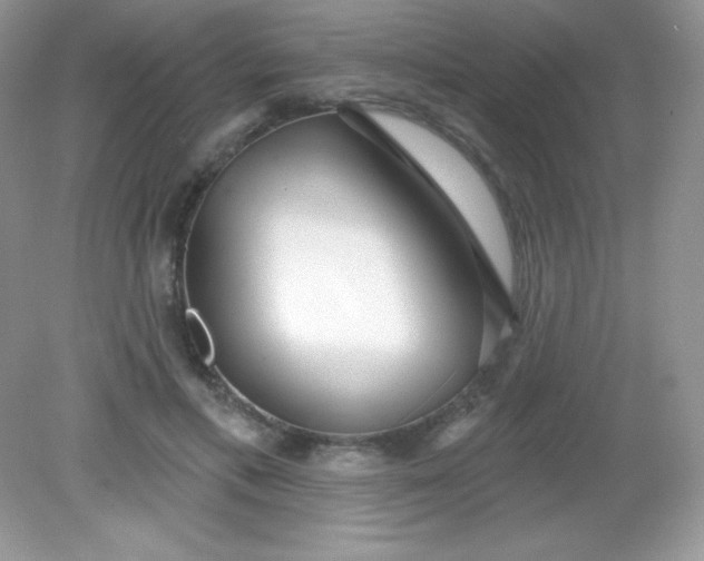 X0000082160597200702021703