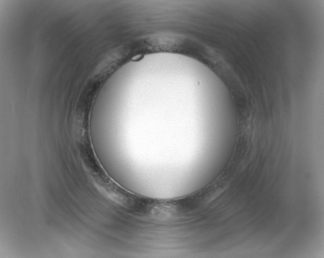 X0000082160599200702021703