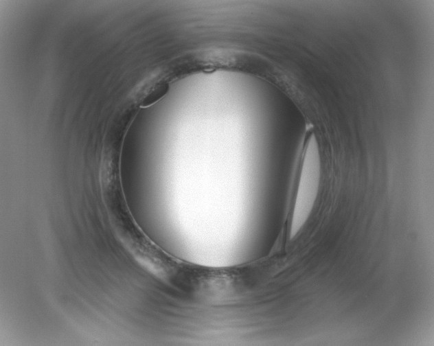 X0000082160600200702021703