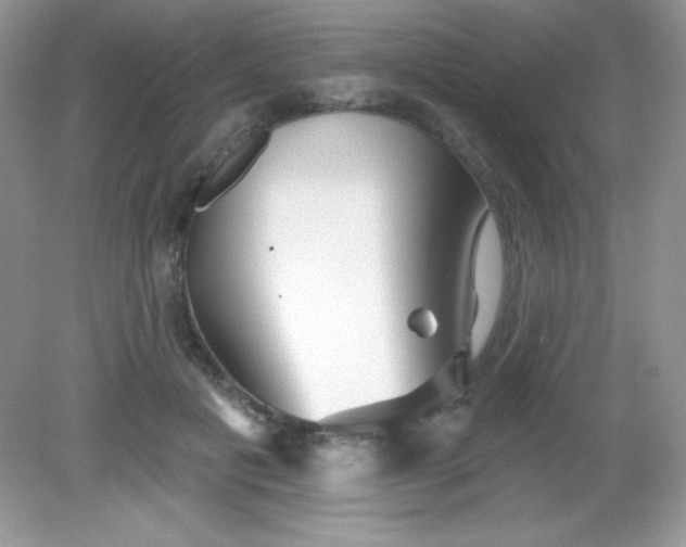 X0000082160601200702021703