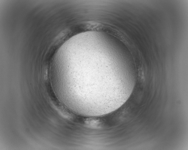 X0000082160602200702021703