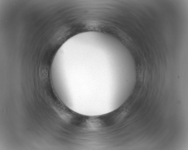 X0000082160603200702021703