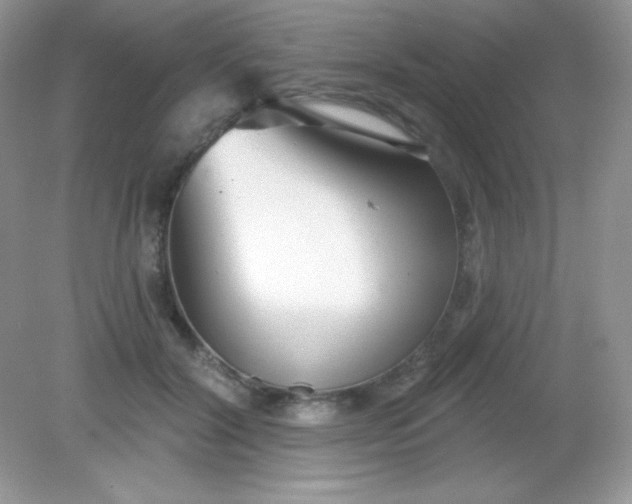 X0000082160604200702021703