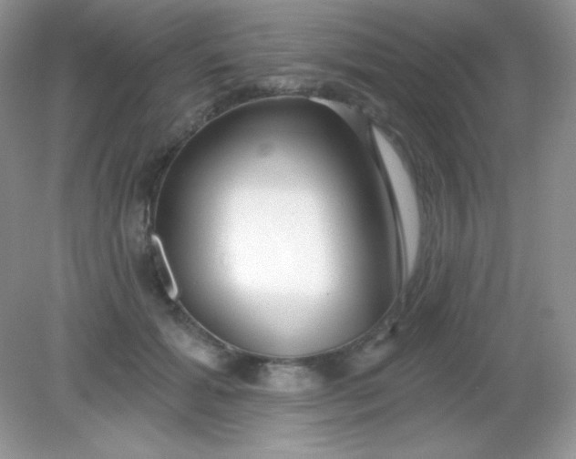 X0000082160605200702021703