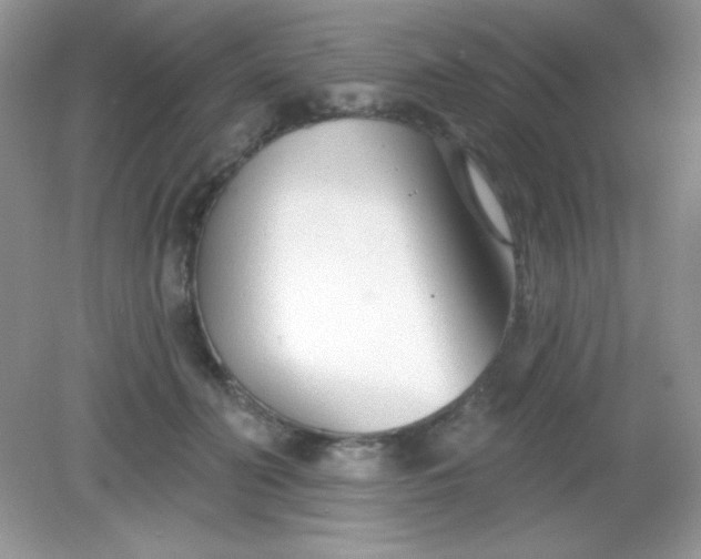 X0000082160606200702021703