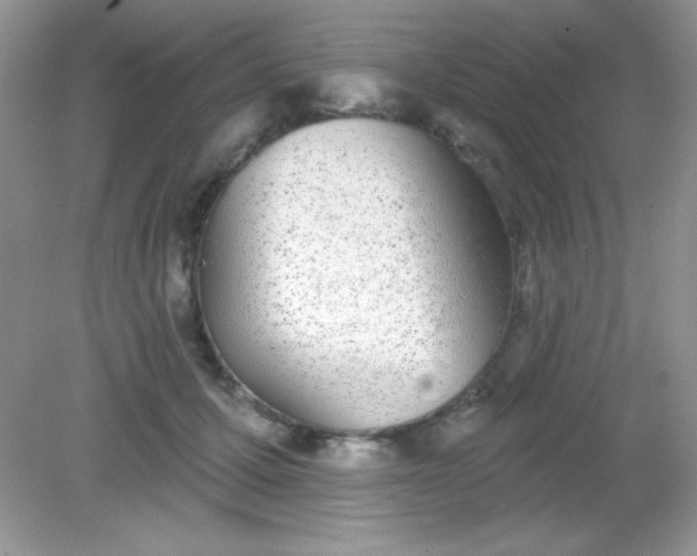 X0000082160607200702021703