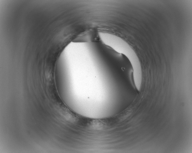 X0000082160608200702021702