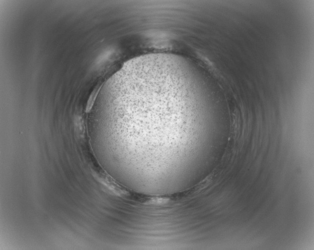 X0000082160609200702021702