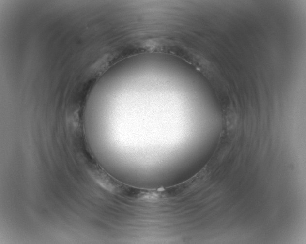 X0000082160611200702021702