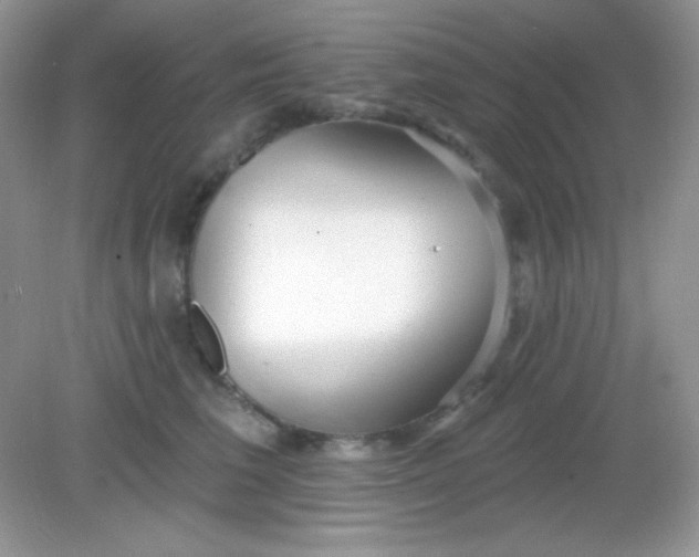 X0000082160613200702021702