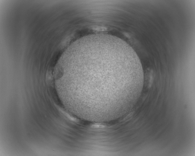 X0000082160614200702021702