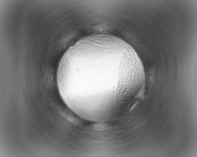 X0000082160615200702021702