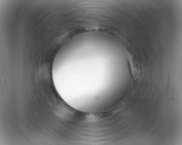 X0000082160616200702021702