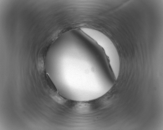 X0000082160617200702021702