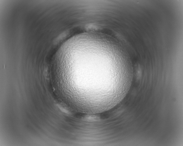 X0000082160619200702021702