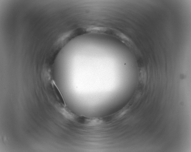 X0000082160621200702021702