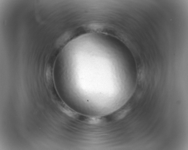 X0000082160623200702021702