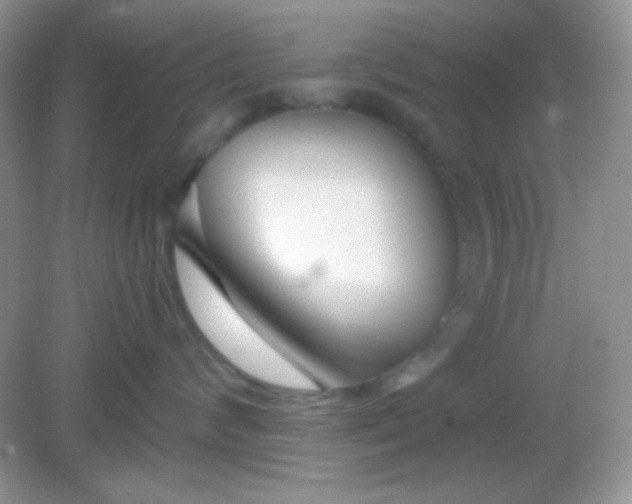 X0000082160624200702021702