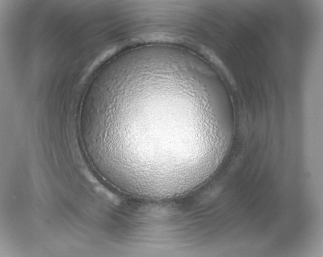 X0000082160625200702021701